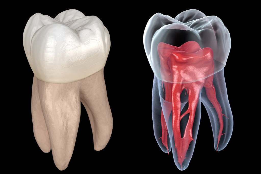 当院のインプラント治療の流れ